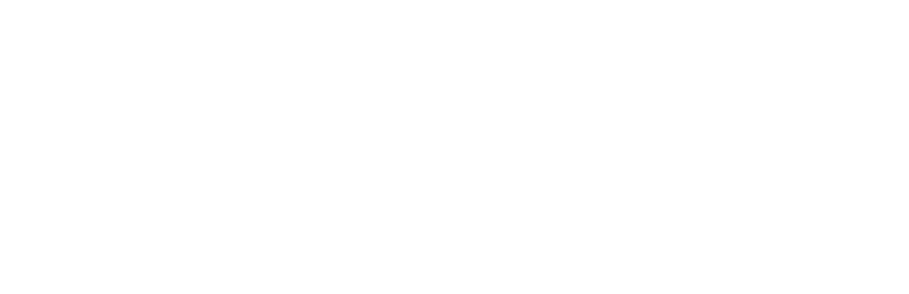 PPA-Member-White-Logo-2.0 Professional Photographers of America logo